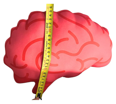 Cojín Decorativo - Cerebro