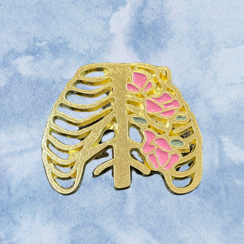 pin - caja torácica - Every Medical - Dr. Gorrito