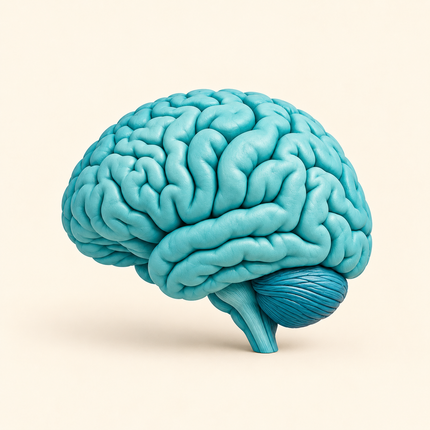 Collection image for: Gorros de neurología.