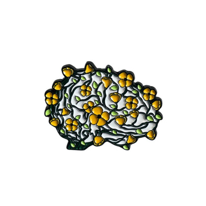 Pin Medicina - Cerebro - Pulmón - Colón -
