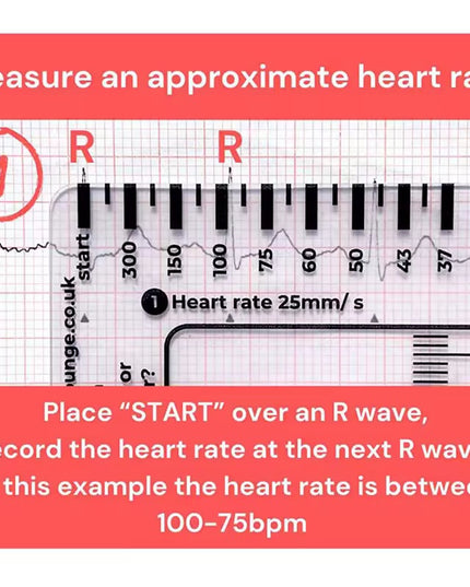 Regla de 7 pasos de Ecg / EKG para interpretación Analizador