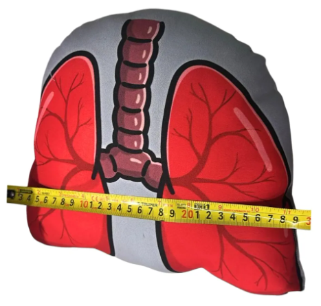 Cojín Decorativo - Pulmones